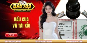 Bầu Cua Và Tài Xỉu - Nên Chọn Game Nào Dễ Chơi Hơn?